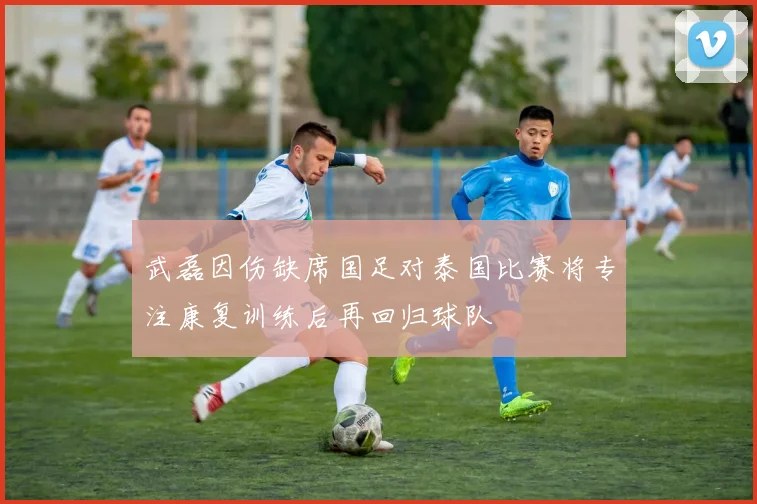 武磊因伤缺席国足对泰国比赛将专注康复训练后再回归球队